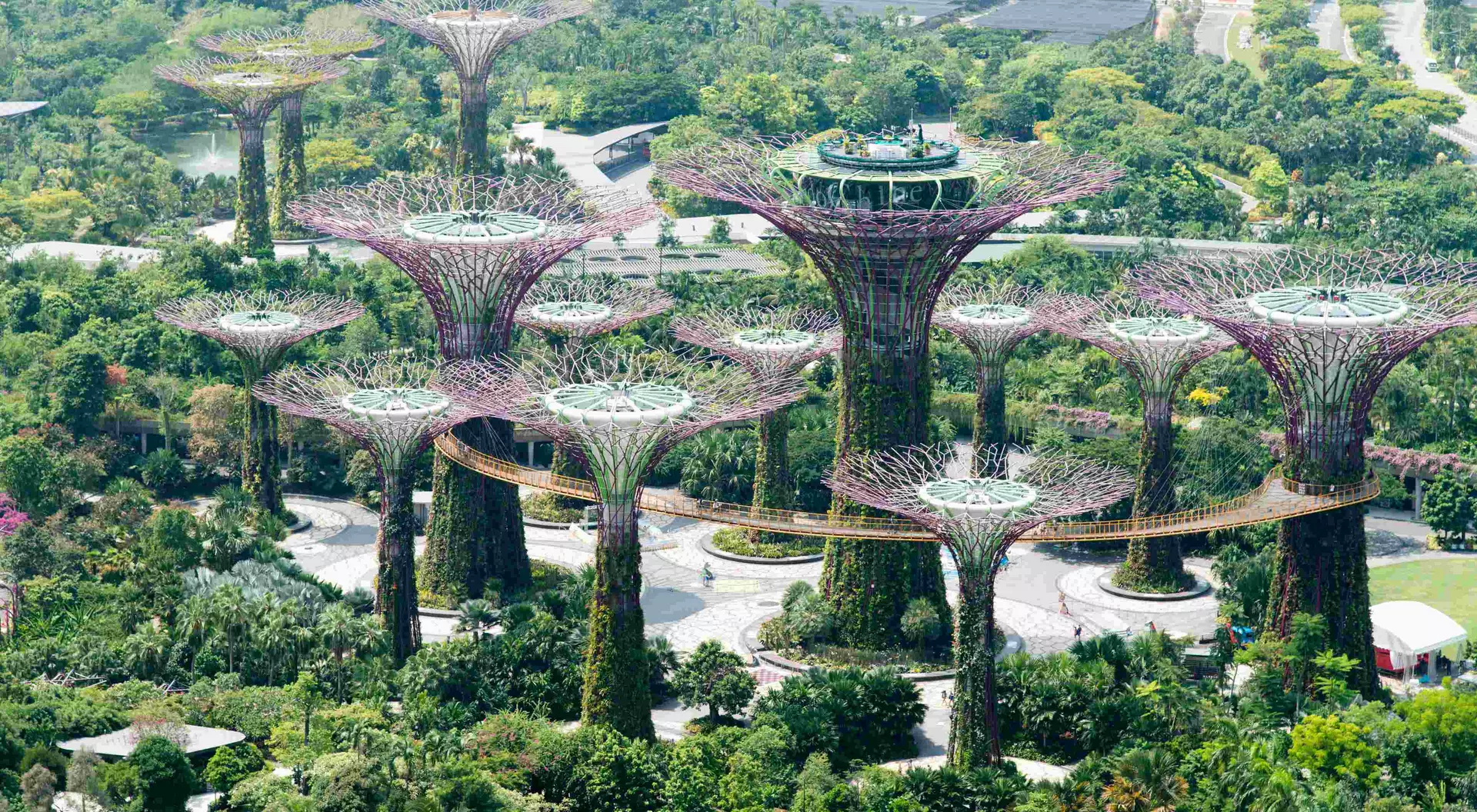 Gardens by the bay Singapore during day time
