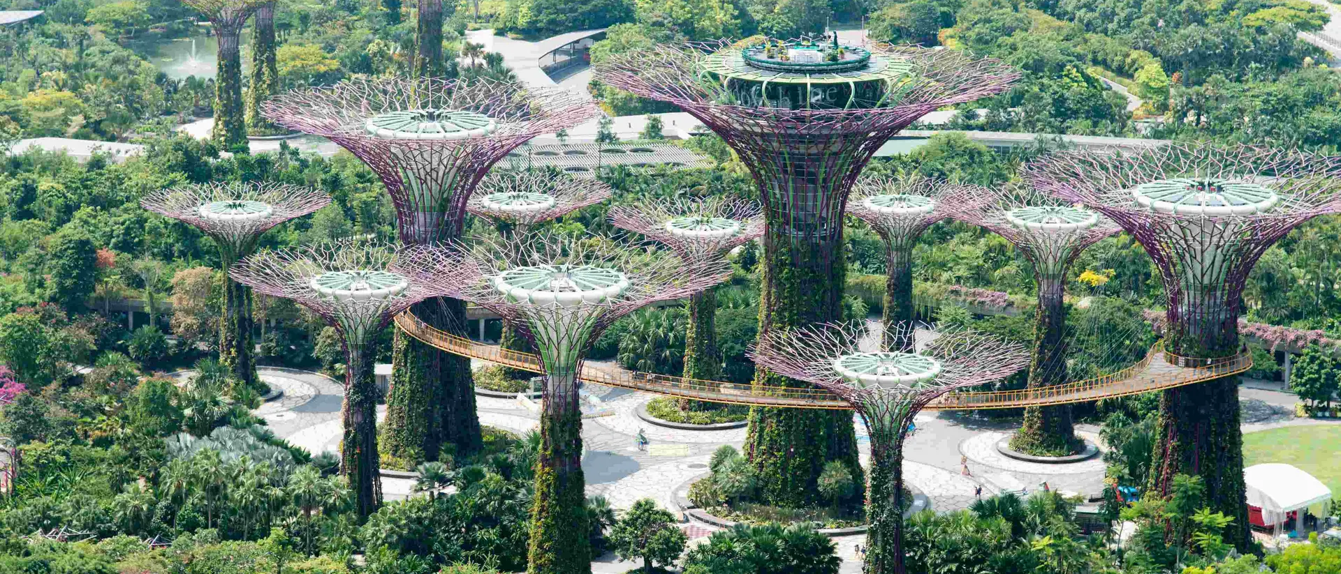 Singapore Gardens by the bay Singapore during day time