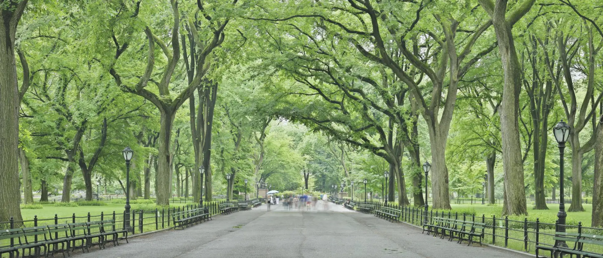 New York The Central Park Mall in New York City is a pedestrian pathway running through the middle of Central Park to Bethesda Terrace