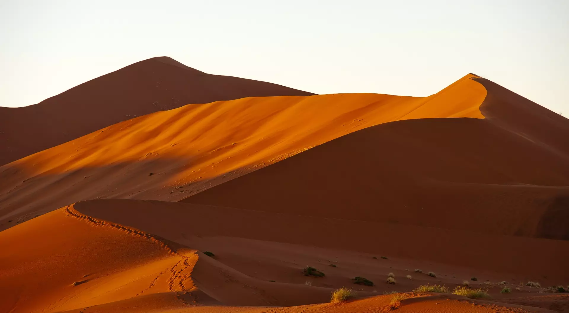 Big Daddy dune early in the morning