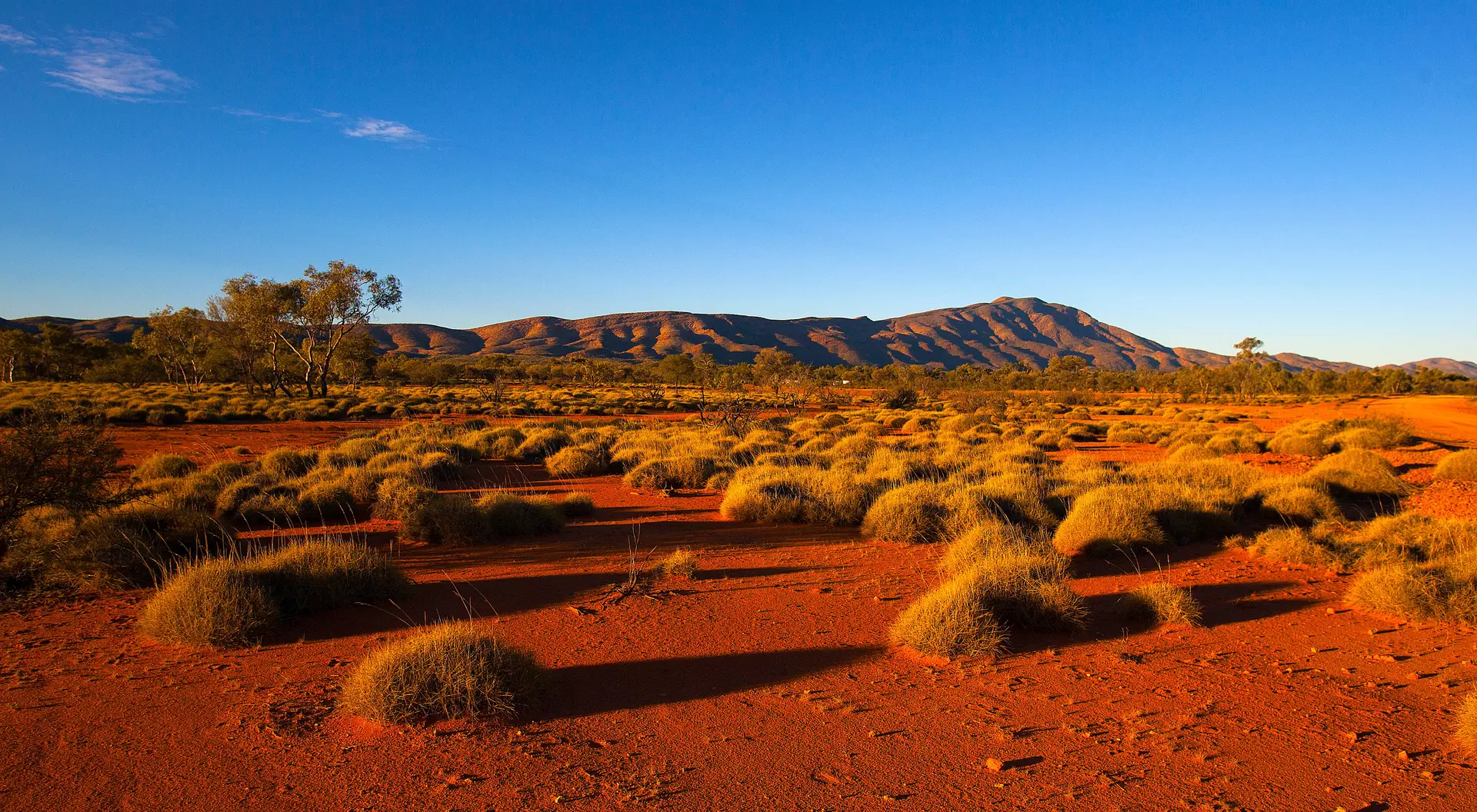 Vast desert landscape with reddish soil, scattered green shrubs, and distant blue mountains under a clear sky.
