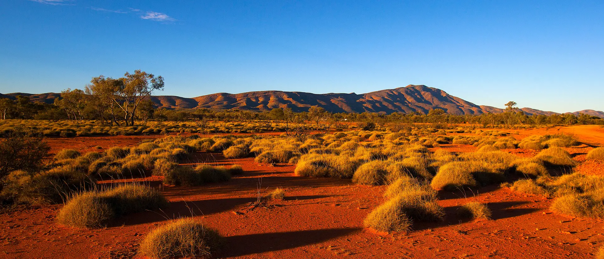Vast desert landscape with reddish soil, scattered green shrubs, and distant blue mountains under a clear sky.