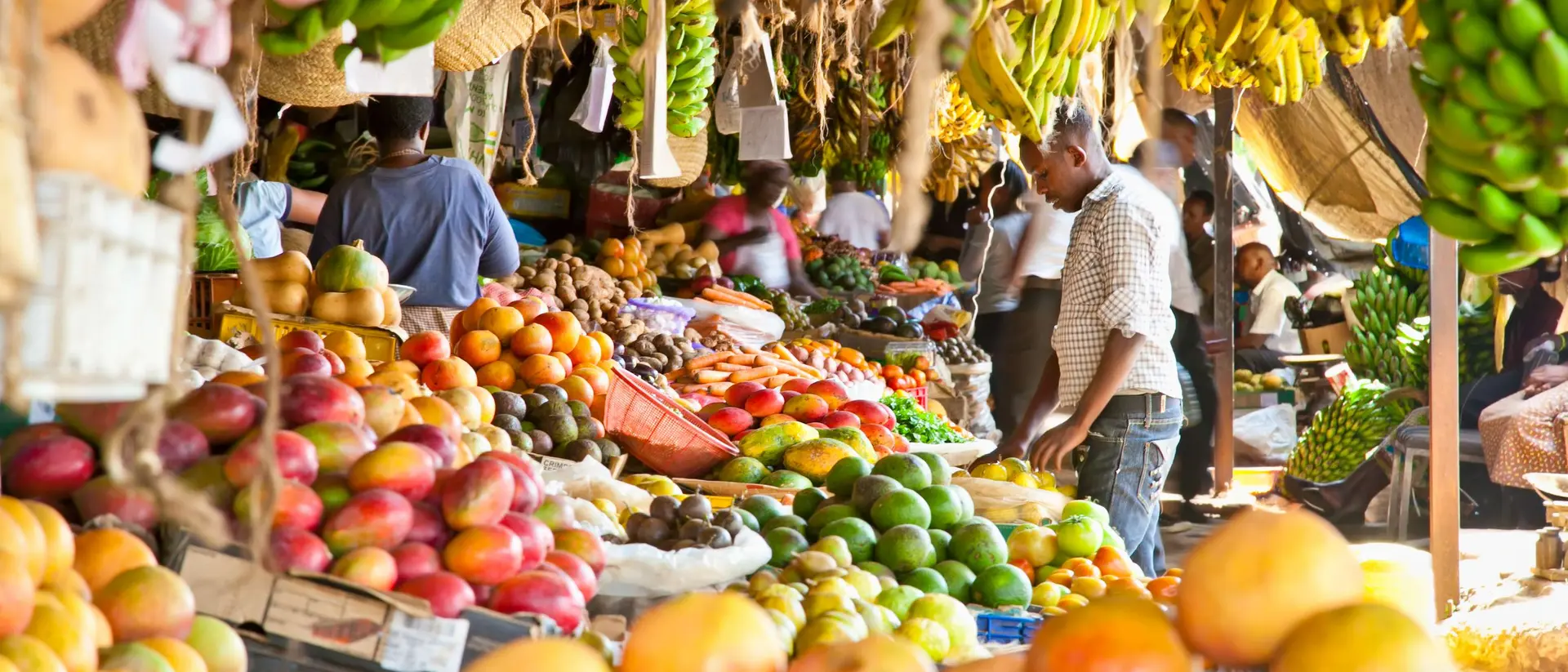 A vibrant market stall filled with various fruits and vegetables, with shoppers browsing under a canopy of greenery.