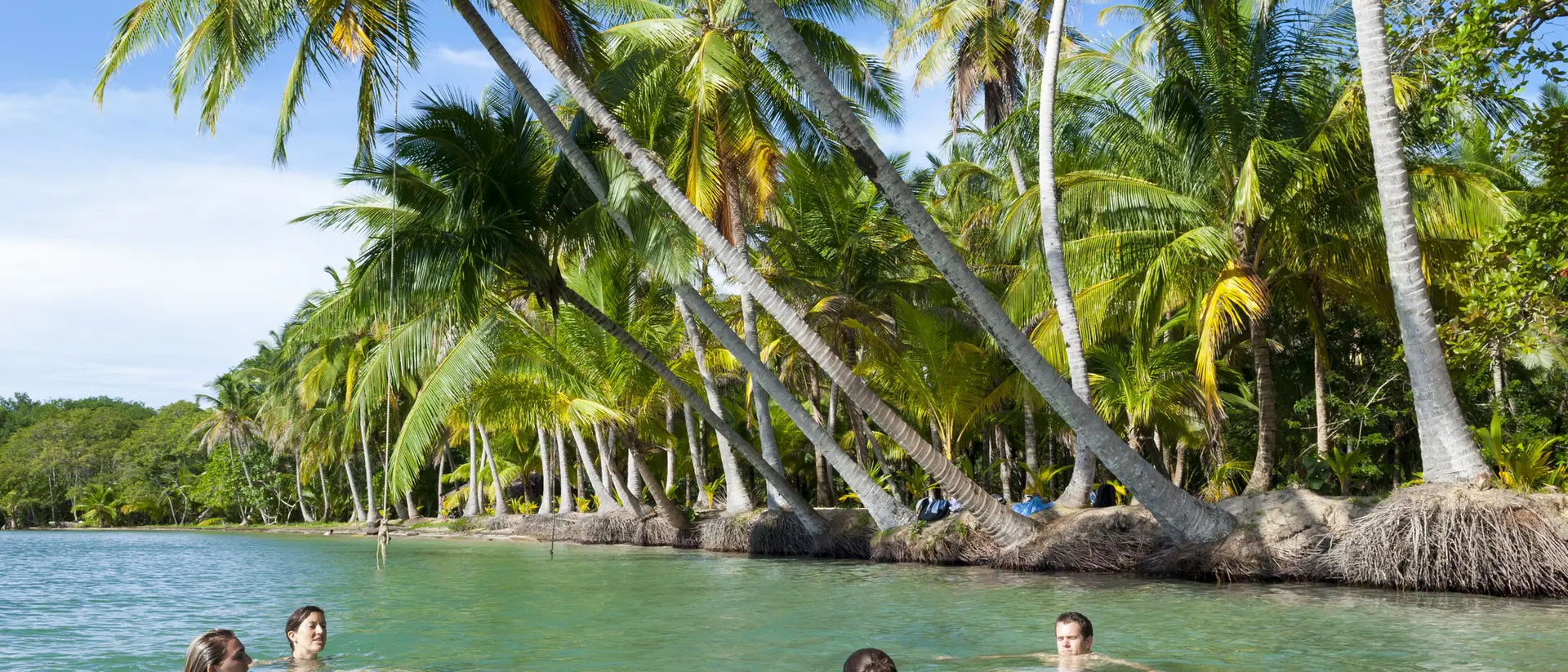 Four people swim in a clear blue lagoon surrounded by tall palm trees under a bright blue sky.