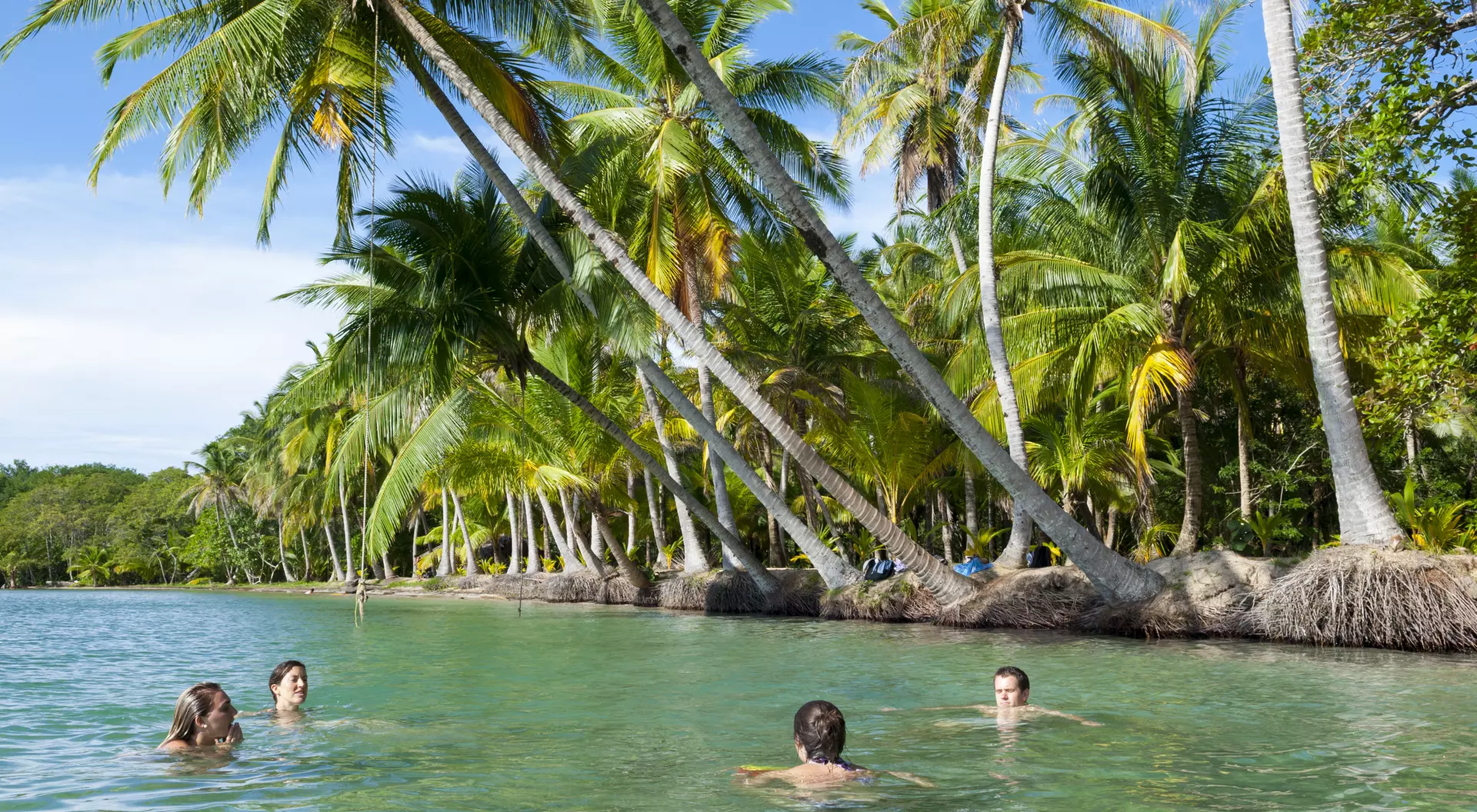 Four people swim in a clear blue lagoon surrounded by tall palm trees under a bright blue sky.