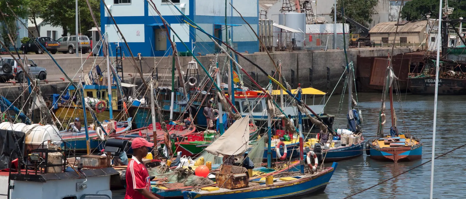 A harbor scene with colorful fishing boats, a man walking on the dock, and buildings in the background under a clear sky.