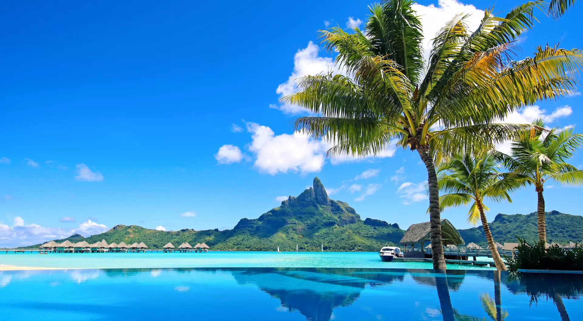 Tropical resort scene with a clear blue pool, palm trees, and a mountain backdrop under a bright sky.