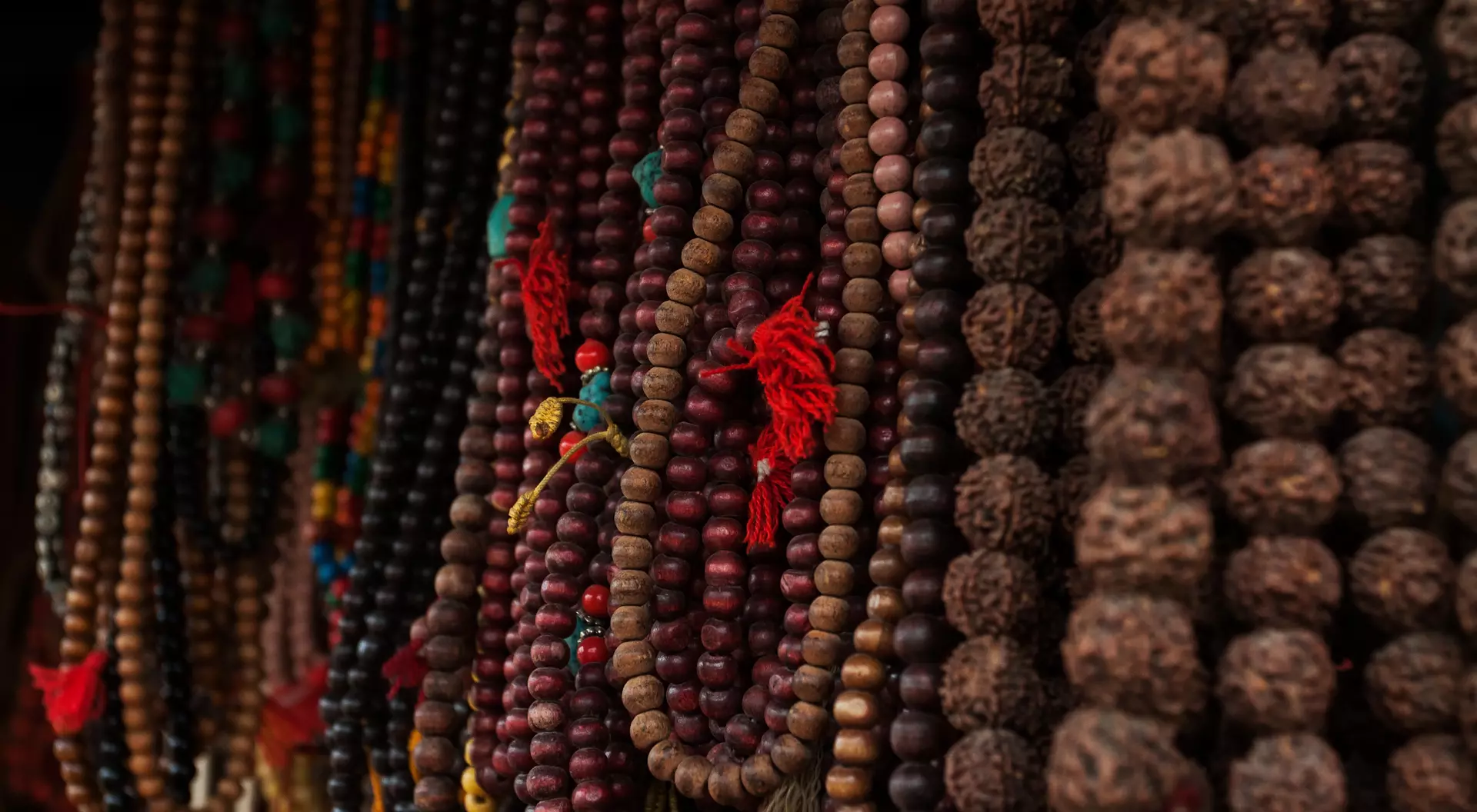 Mala Prayer Beads Rudraksha seed pods from broadleaf trees are strung together to form a Mala, used as prayer beads