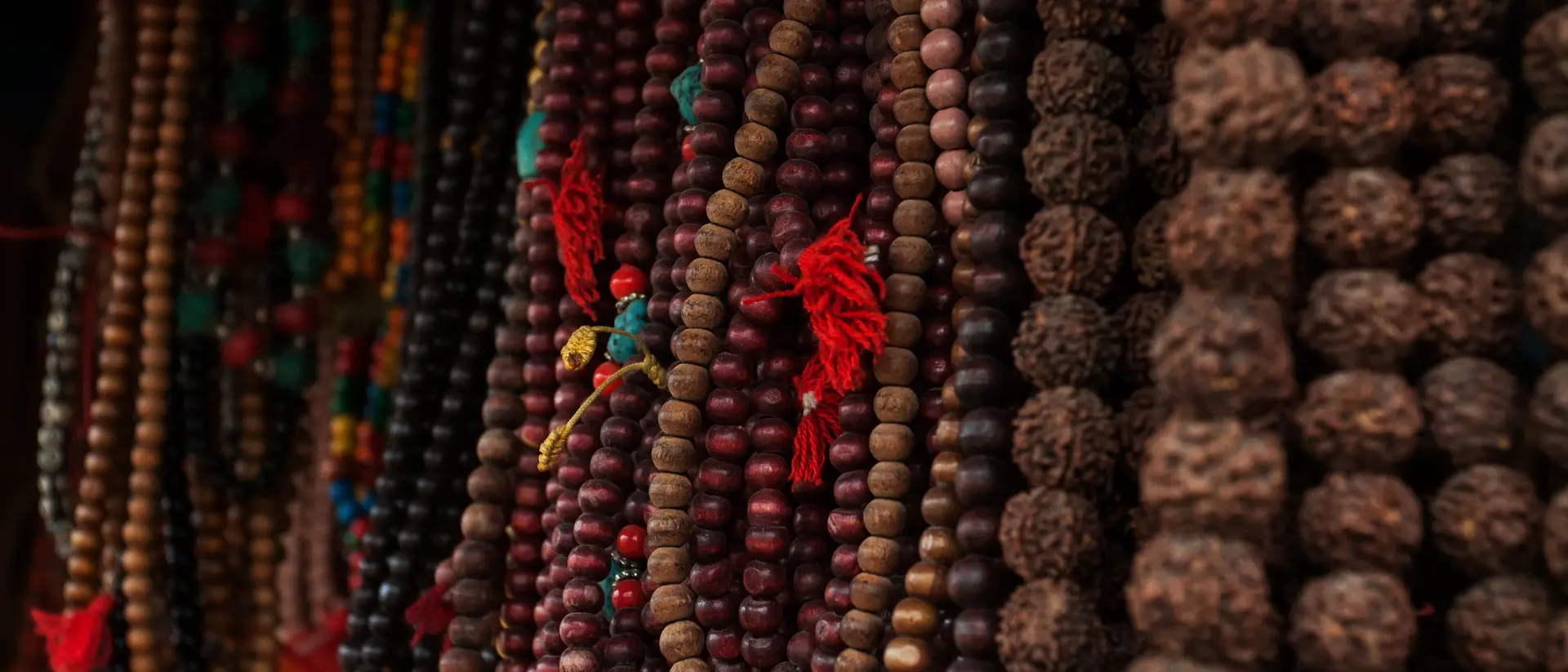 Mala Prayer Beads Rudraksha seed pods from broadleaf trees are strung together to form a Mala, used as prayer beads