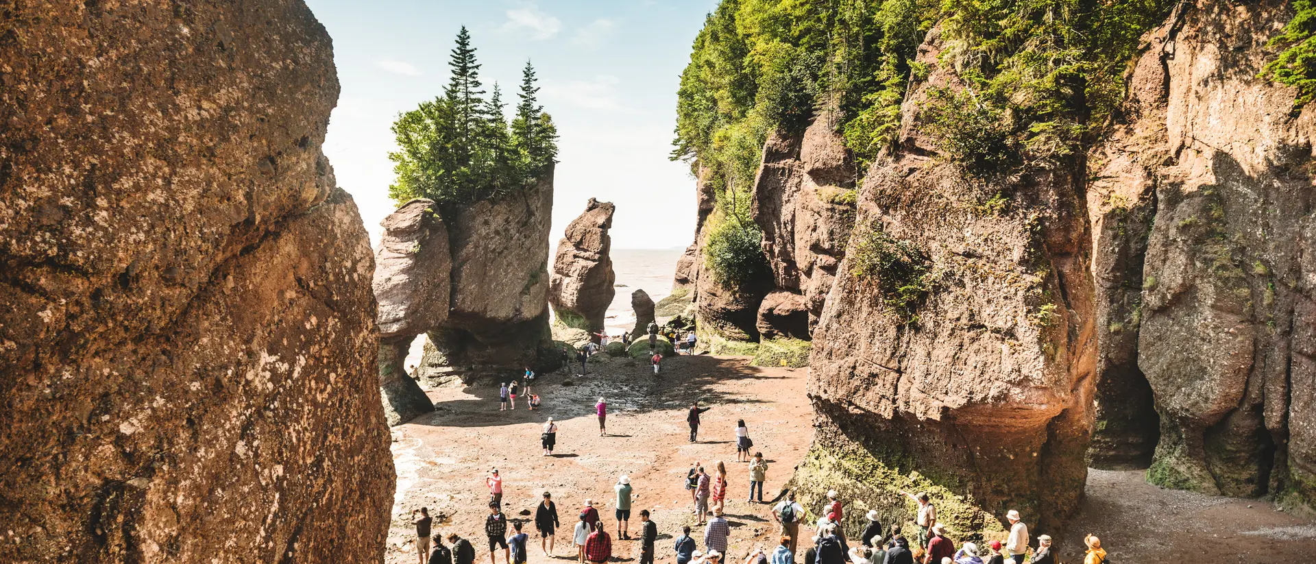 A crowd of people exploring a beach surrounded by tall rock formations and trees under a clear blue sky.