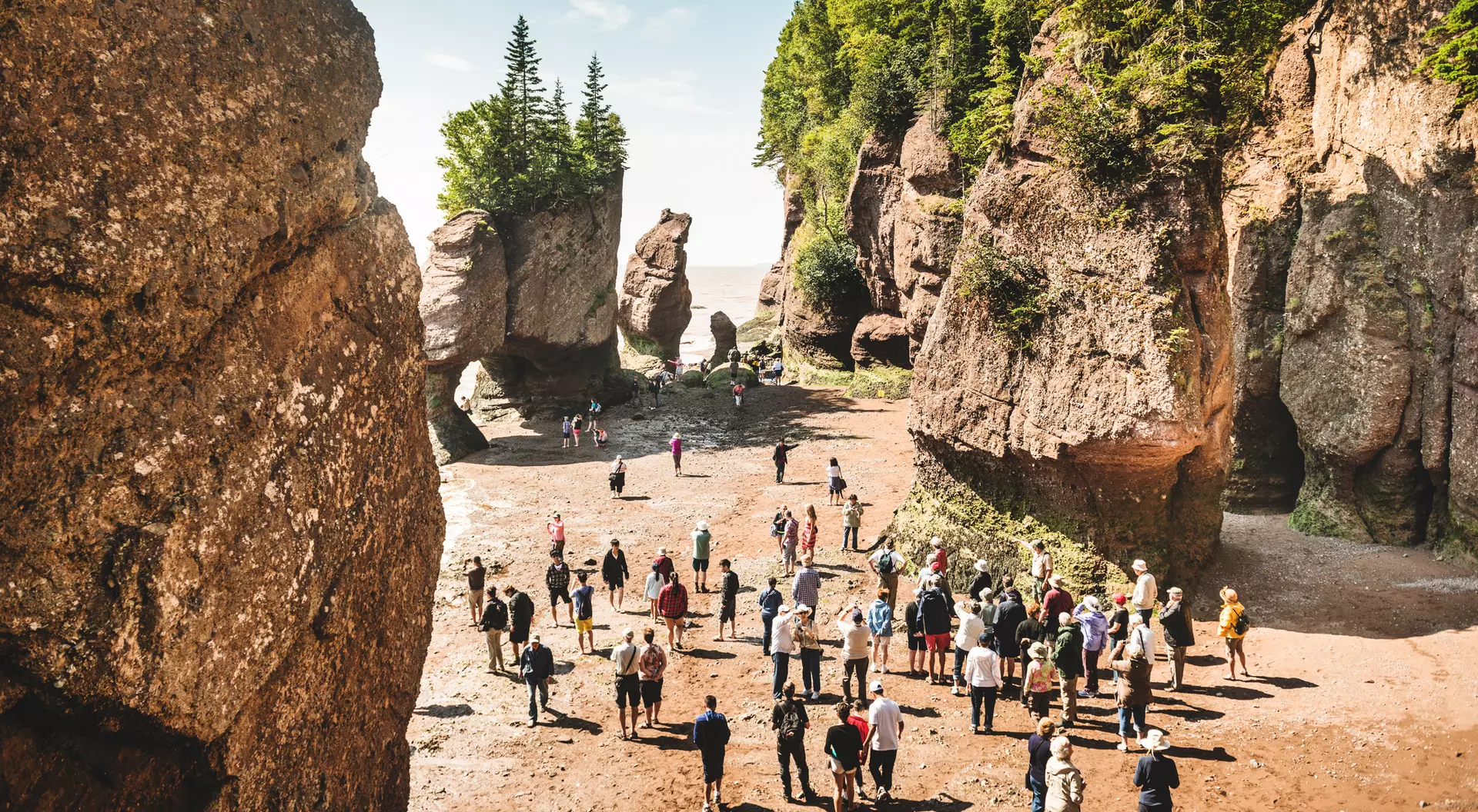 A crowd of people exploring a beach surrounded by tall rock formations and trees under a clear blue sky.