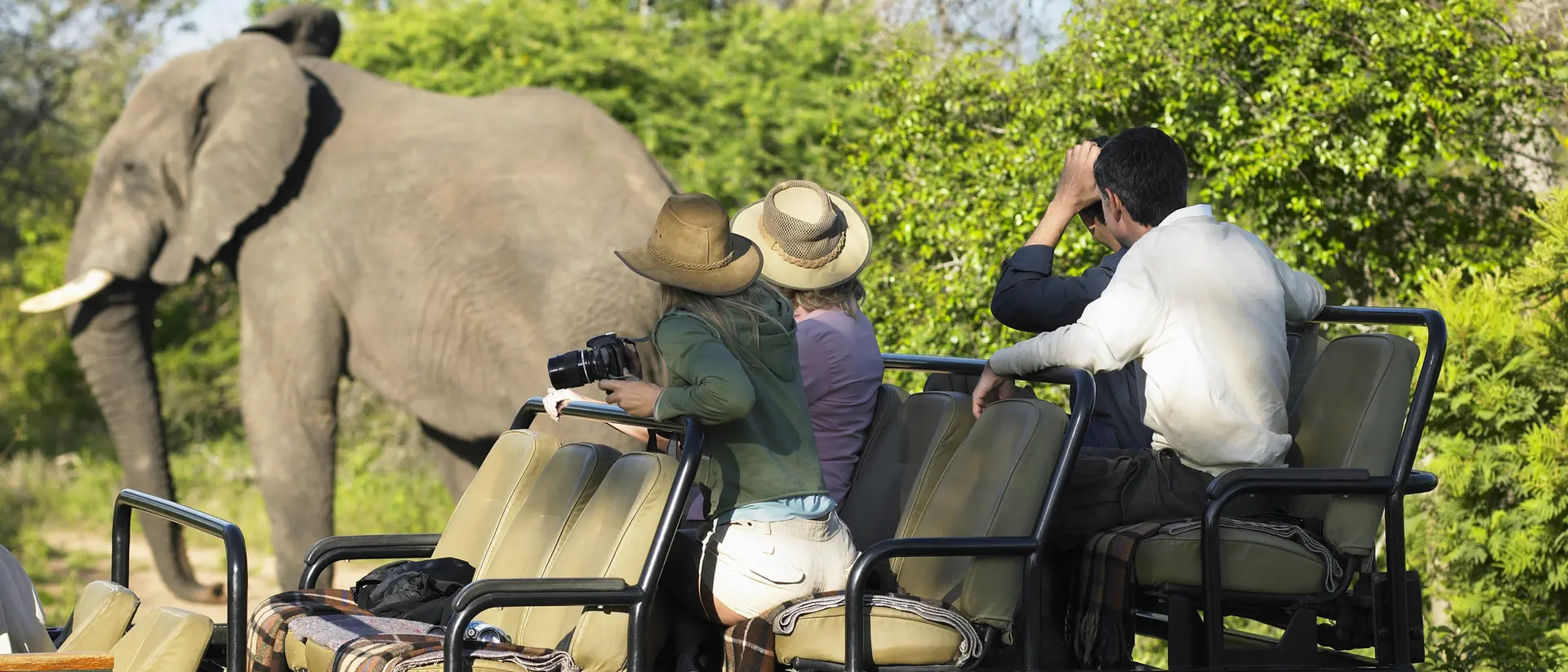 A group of four people in a safari vehicle observing an elephant in a lush, green landscape.