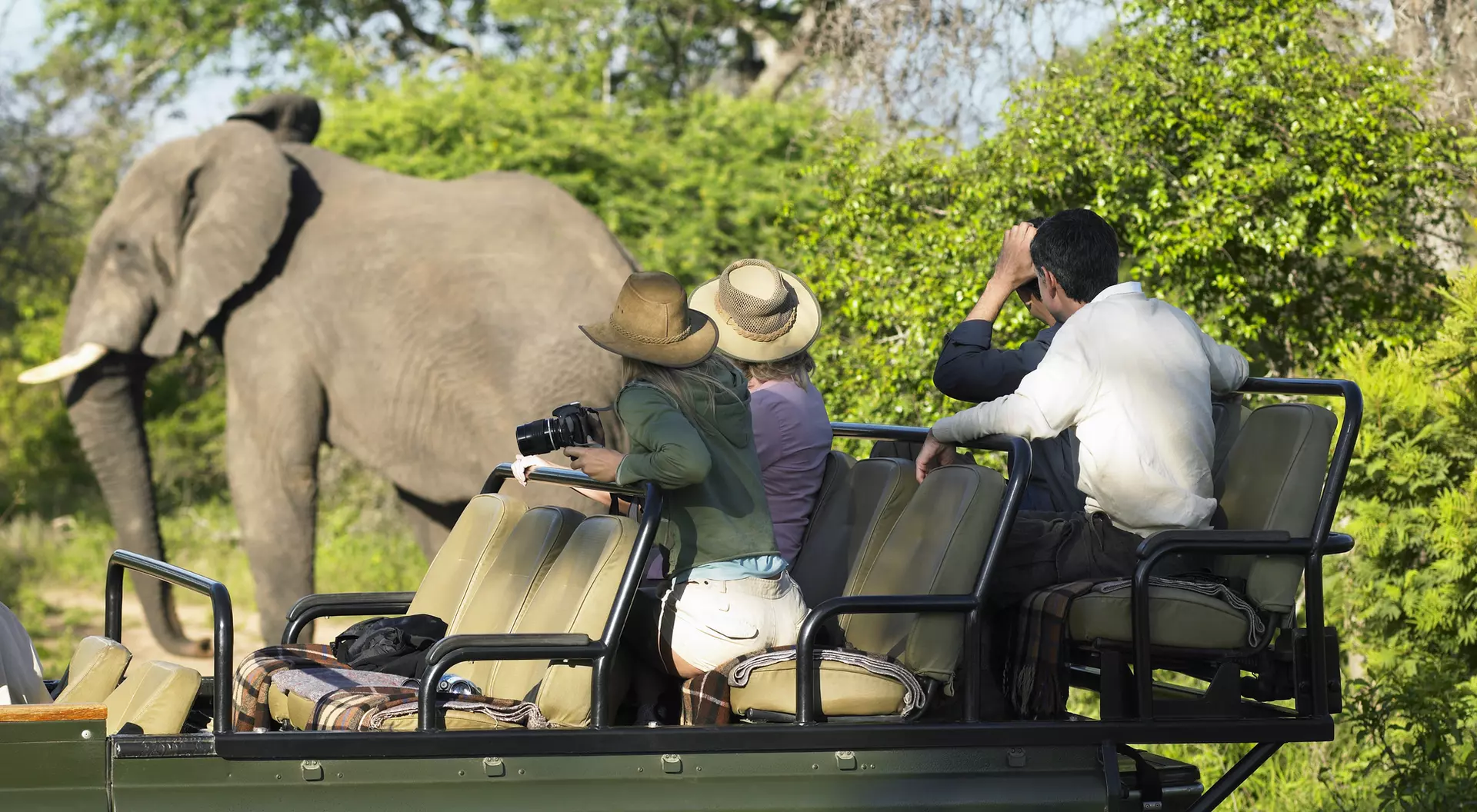 A group of four people in a safari vehicle observing an elephant in a lush, green landscape.