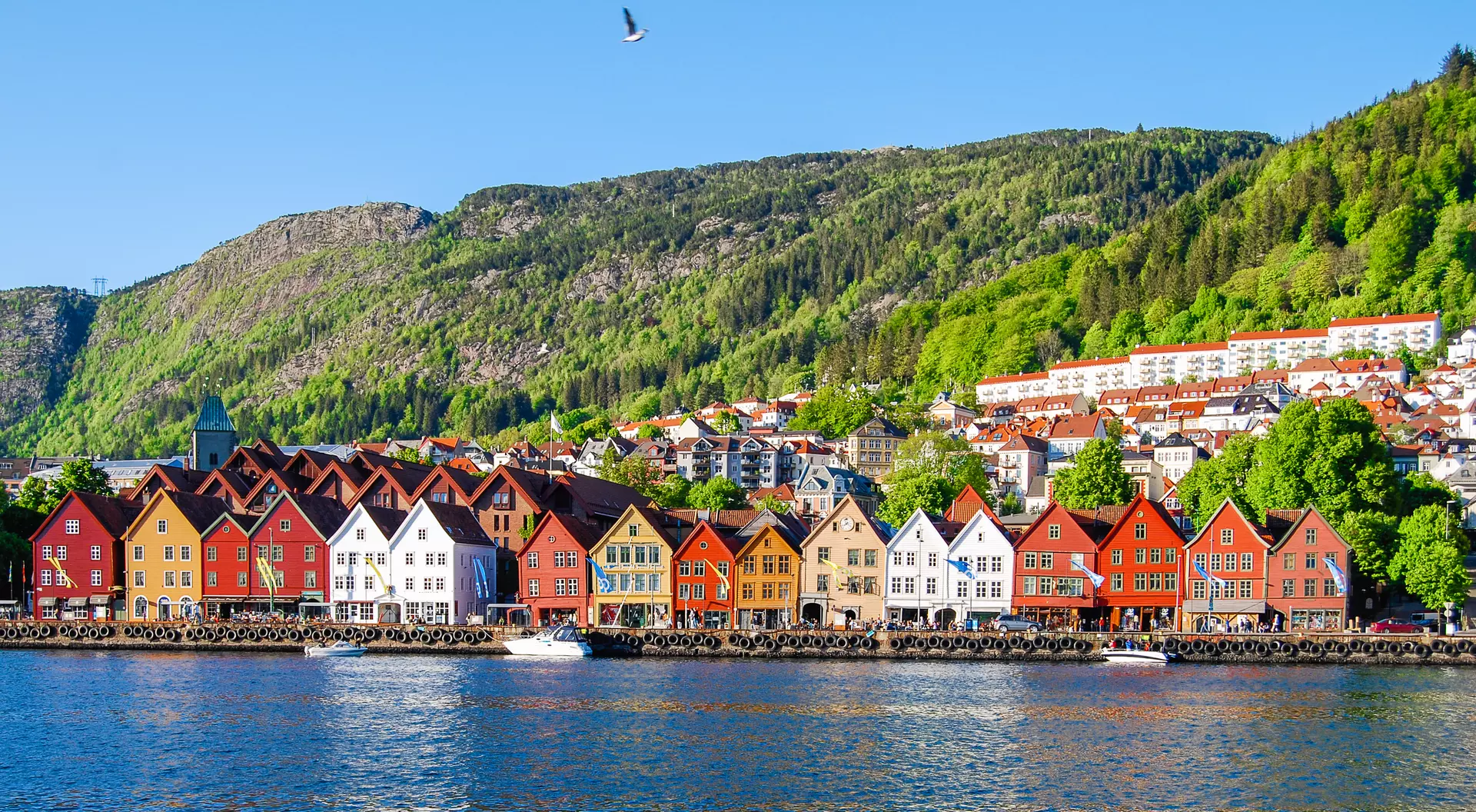 Houses Cityscape view of Bergen