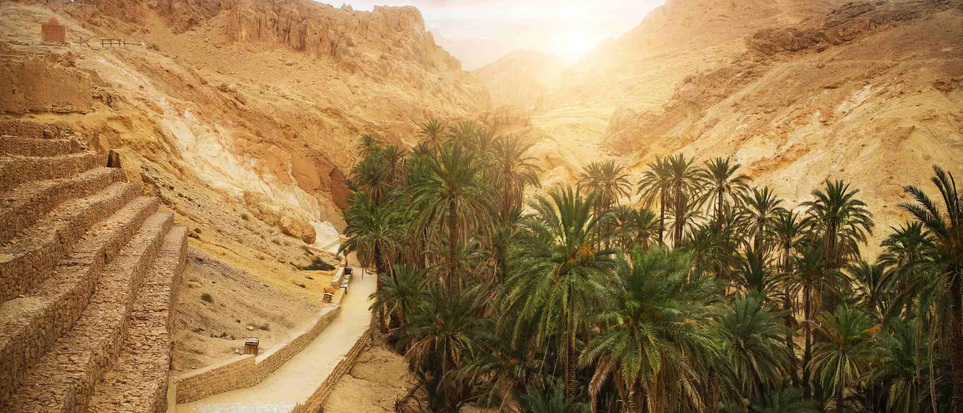 View of mountain oasis Chebika