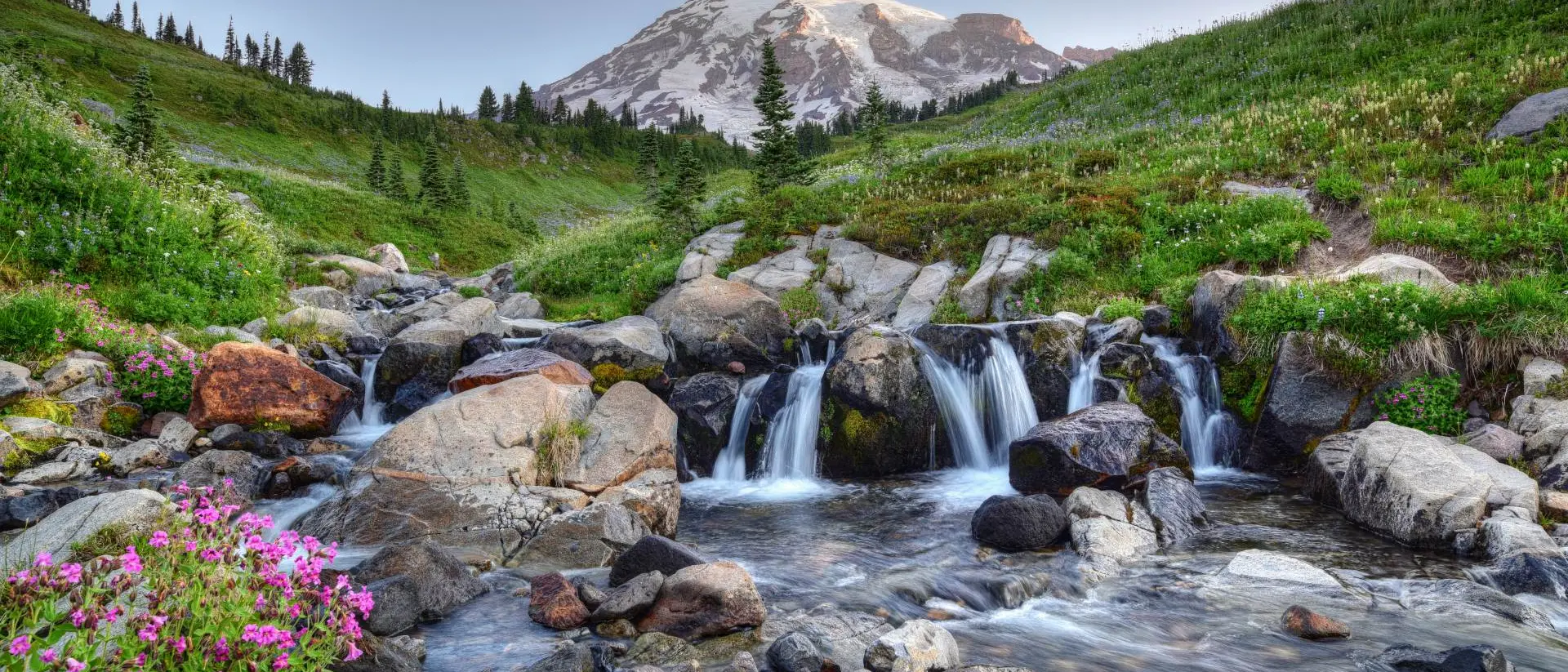 Mount Rainier Mount Rainier in the summer with small waterfall and flowers in foreground