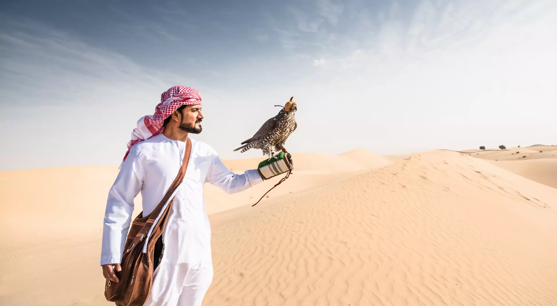 A man in traditional attire holds a falcon in the desert, with sand dunes and a clear sky in the background.