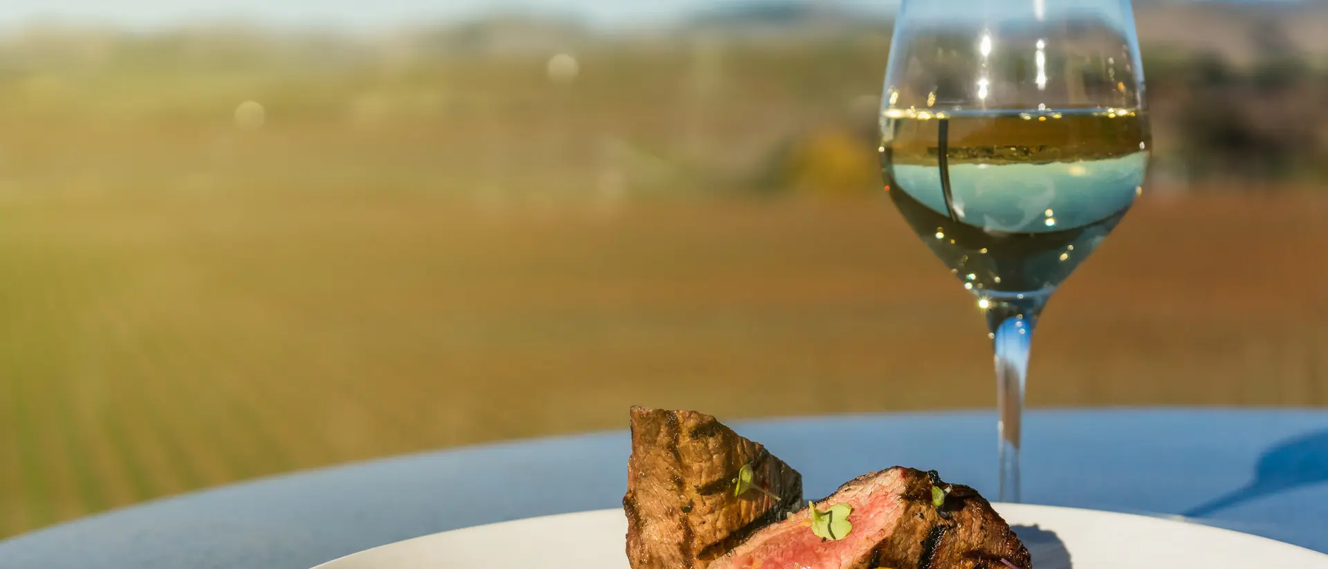 A plate featuring steak, grilled vegetables, and a glass of white wine, set against a vineyard backdrop.