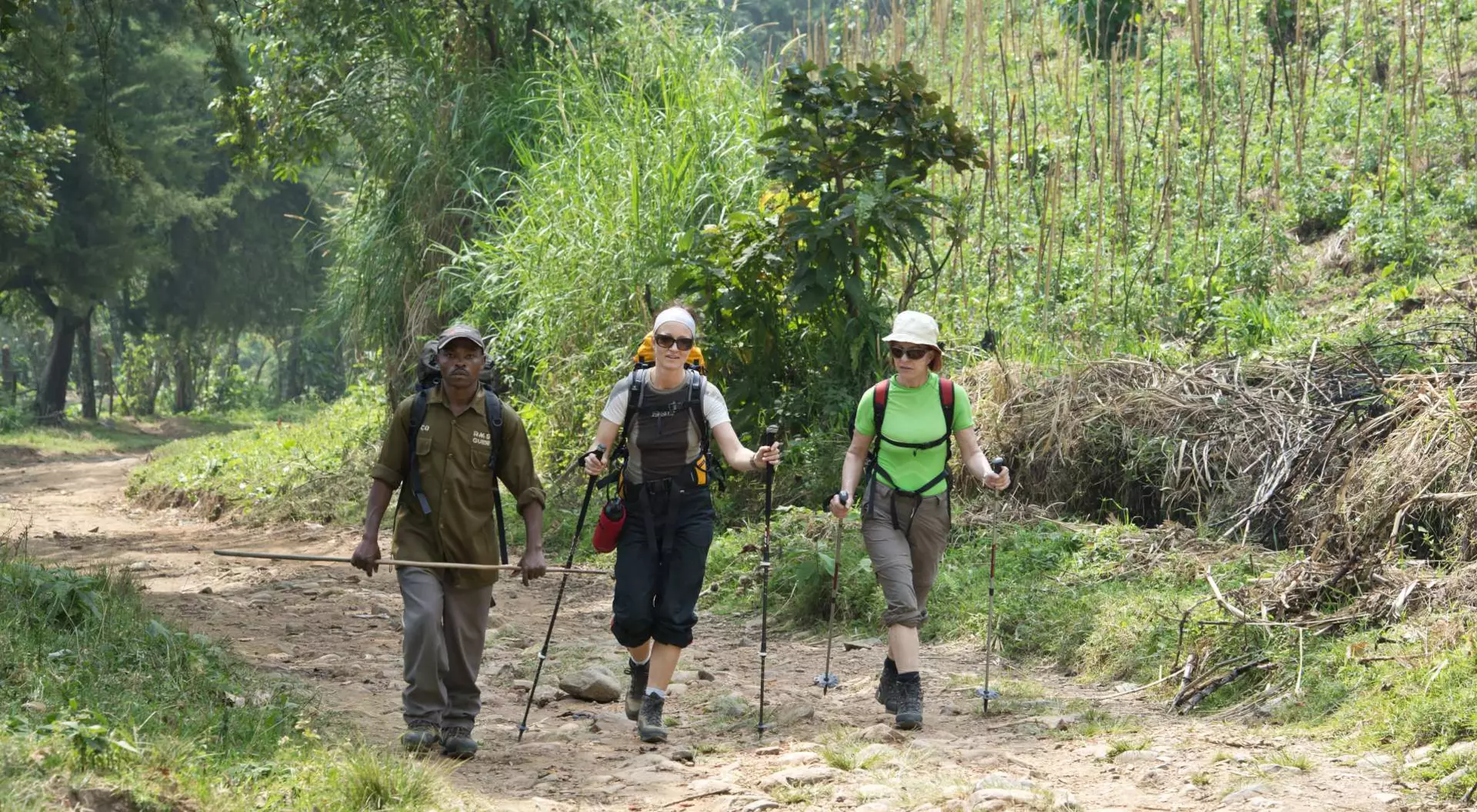 Three hikers walking along a dirt path in a wooded area, surrounded by greenery and gentle hills.