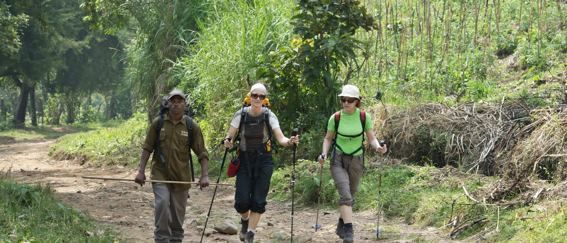 Three hikers walking along a dirt path in a wooded area, surrounded by greenery and gentle hills.