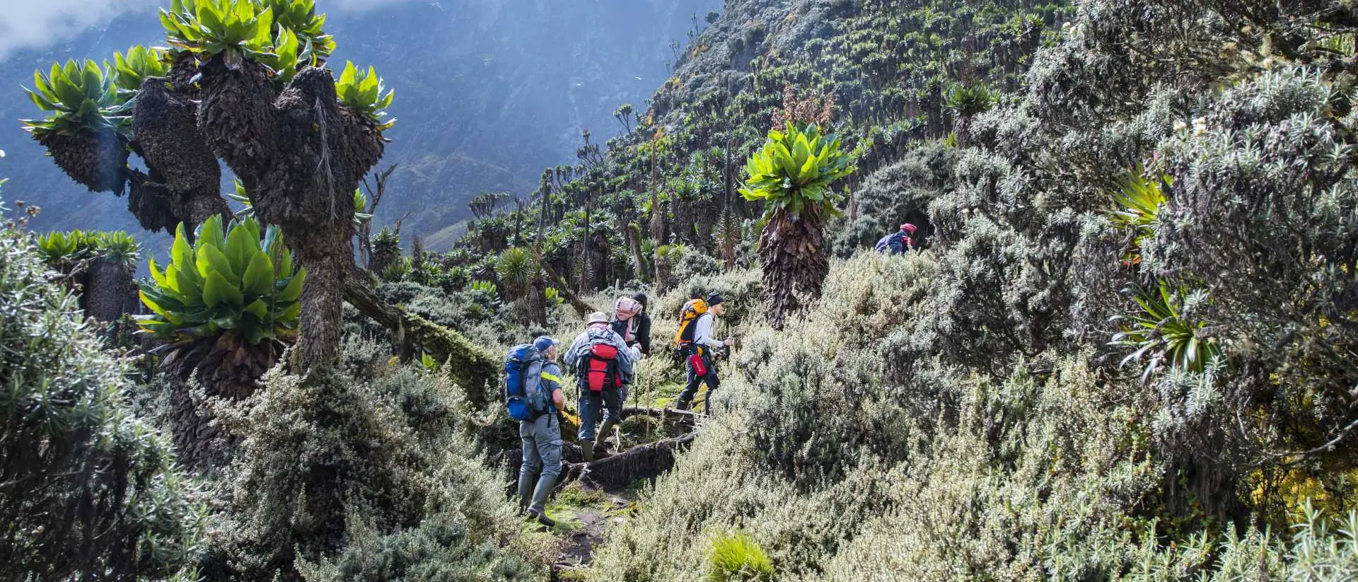 Hikers trekking through lush greenery in a mountainous landscape under a cloudy sky.