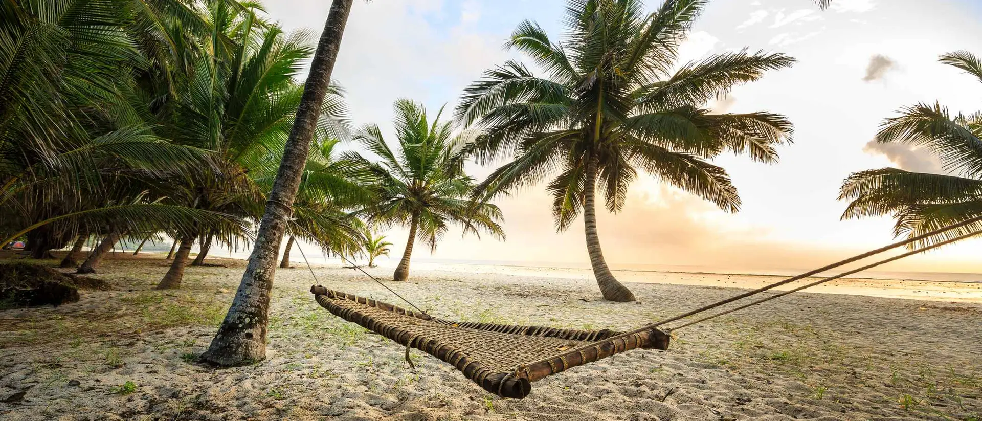 A serene beach scene with a hammock strung between palm trees, overlooking the ocean at sunrise.