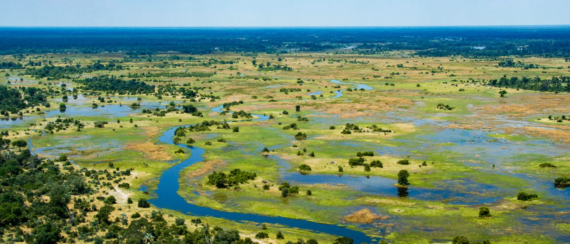 The Okavango Delta in Botswana is a very large, swampy inland delta formed where the Okavango River reaches a tectonic trough in the central part of the endorheic basin of the Kalahari.