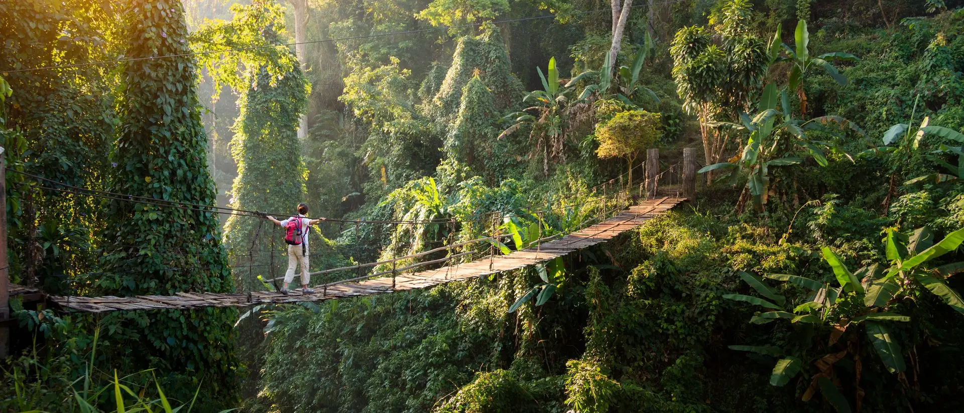 Person standing on a narrow wooden bridge across a lush, green canyon, surrounded by dense tropical vegetation and sunlight.