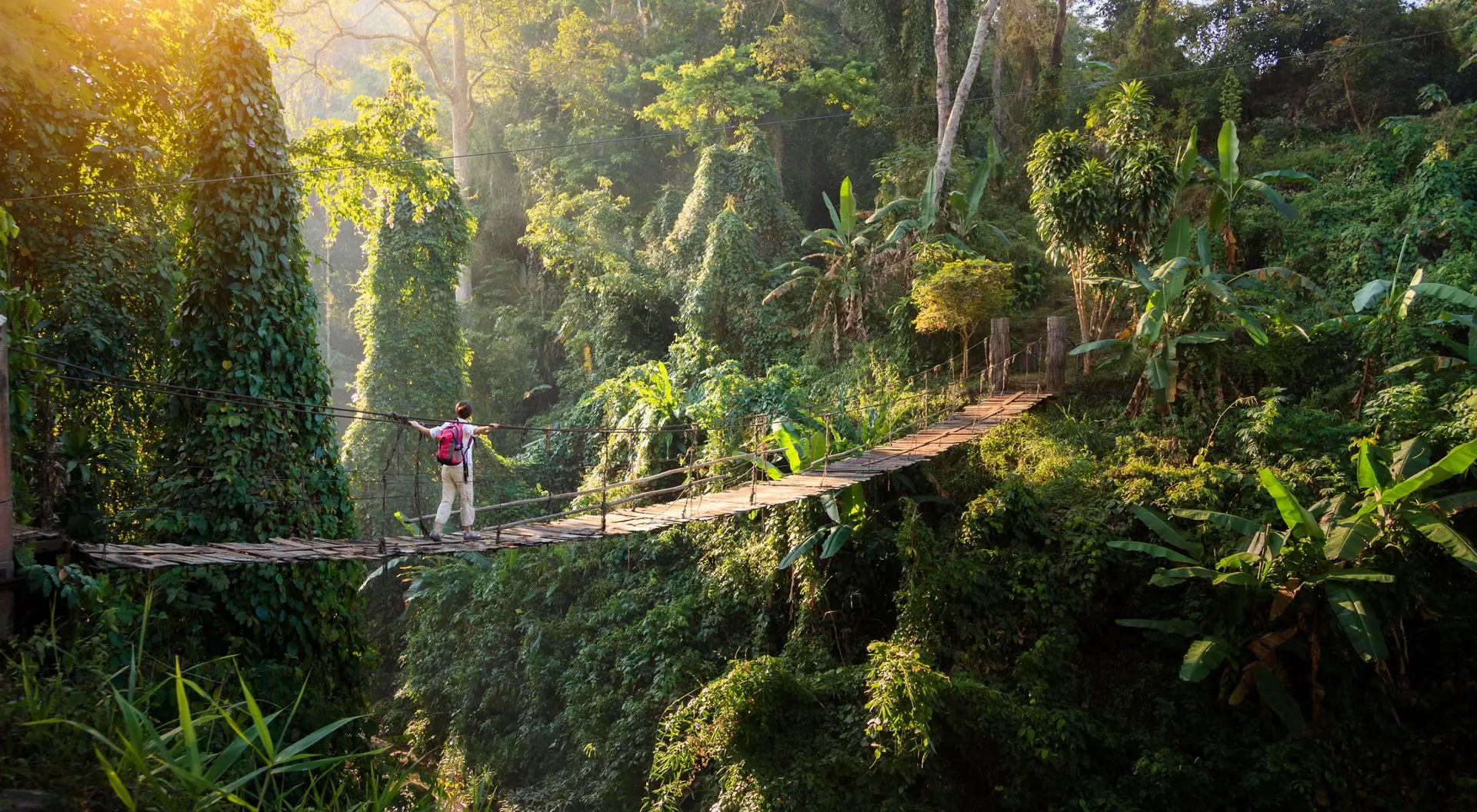 Person standing on a narrow wooden bridge across a lush, green canyon, surrounded by dense tropical vegetation and sunlight.