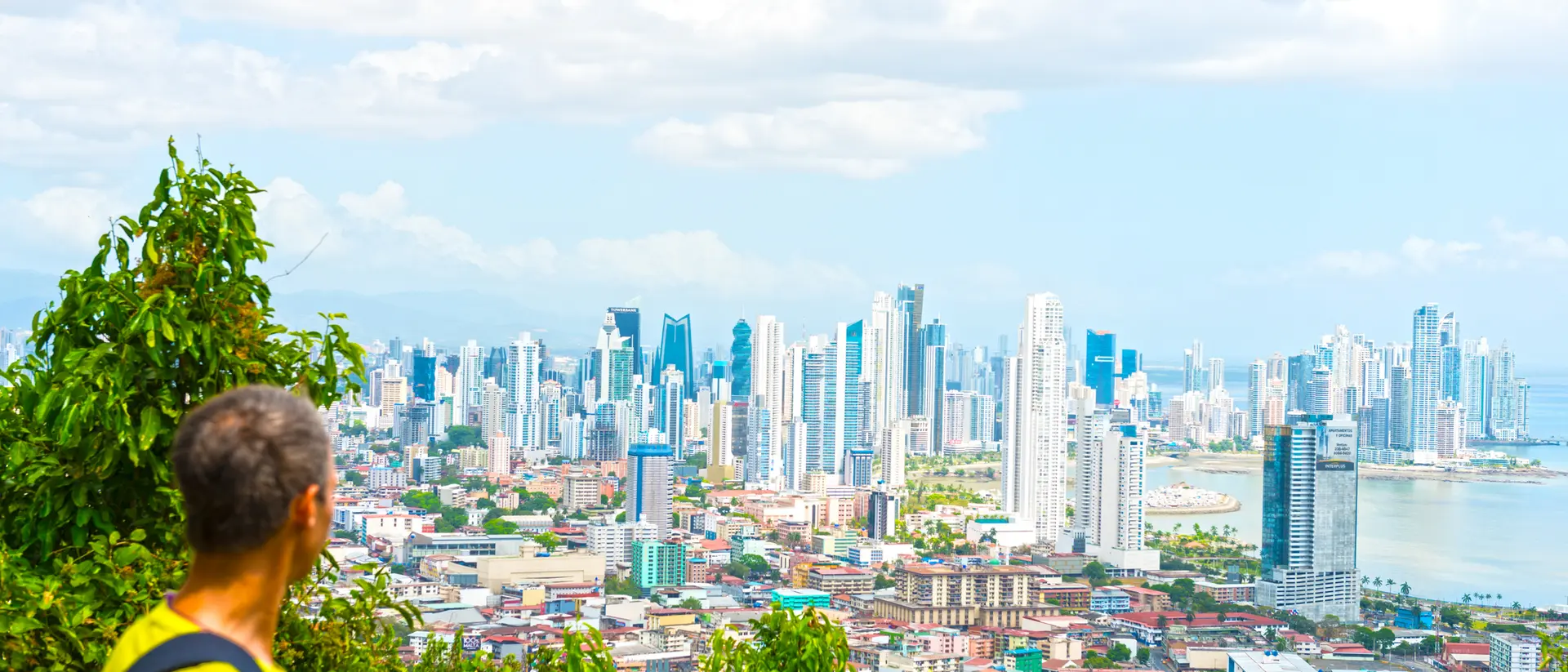 Person looking out over a vibrant city skyline with tall buildings and a waterfront, framed by greenery.