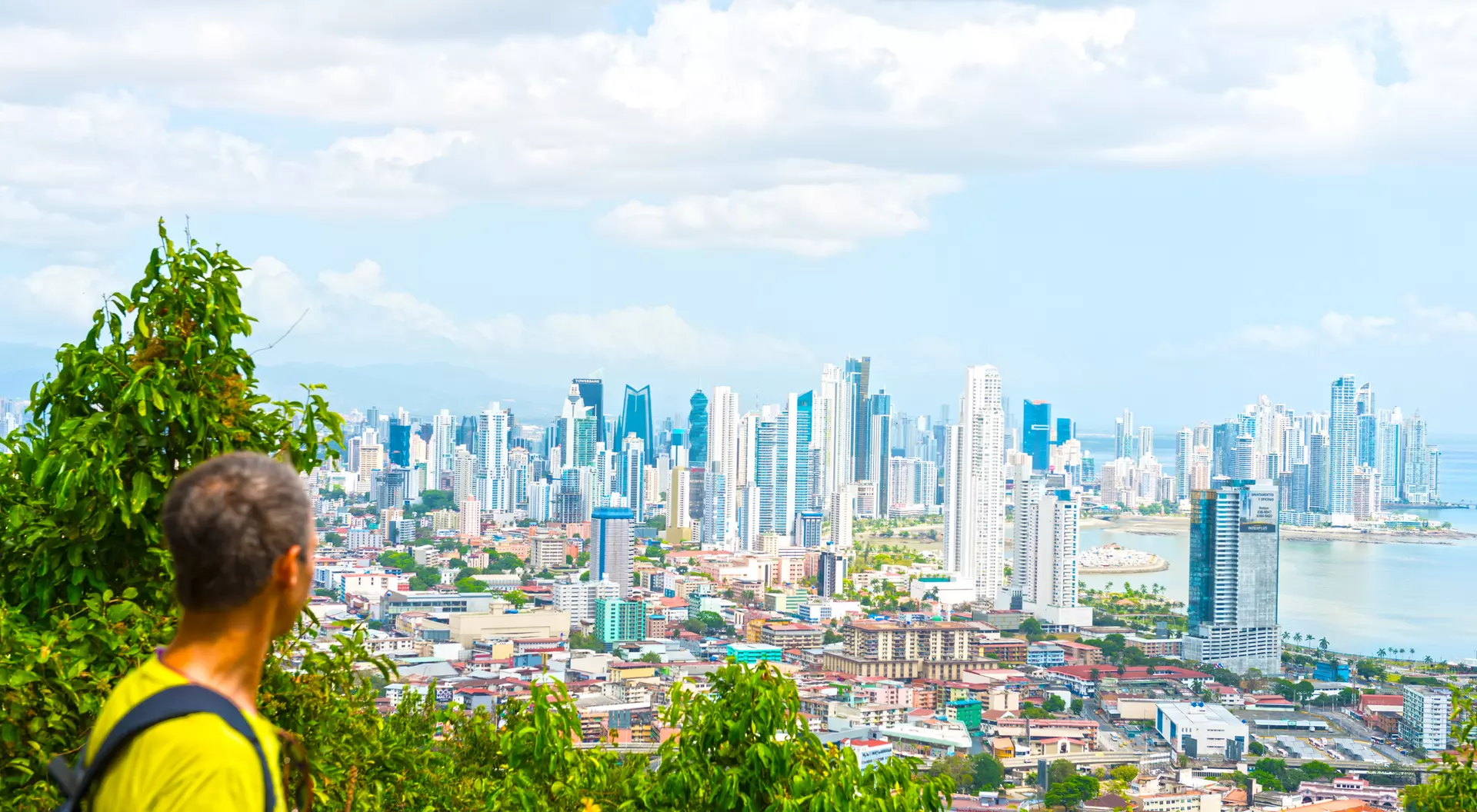 Person looking out over a vibrant city skyline with tall buildings and a waterfront, framed by greenery.