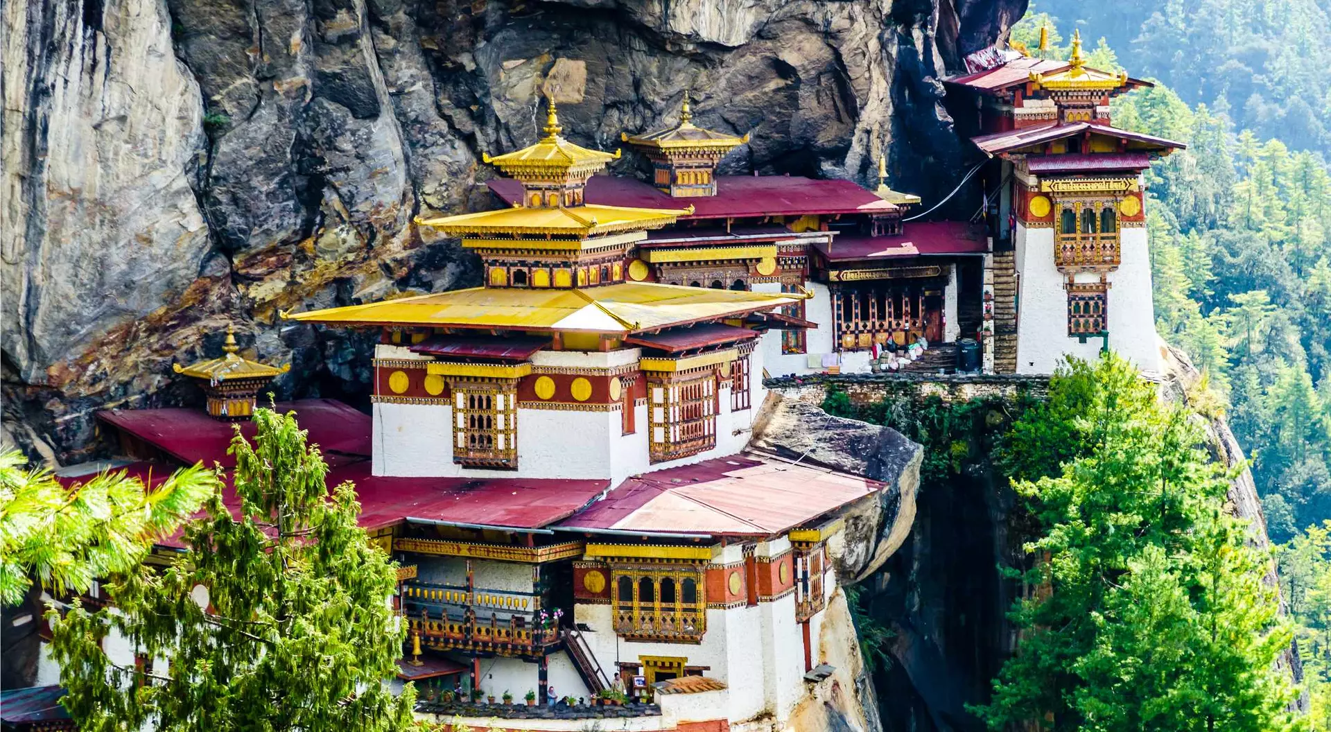 A stunning cliffside monastery with golden roofs surrounded by lush greenery and rocky terrain.