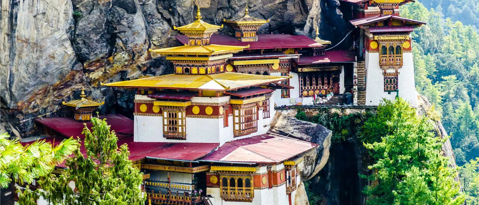 A stunning cliffside monastery with golden roofs surrounded by lush greenery and rocky terrain.