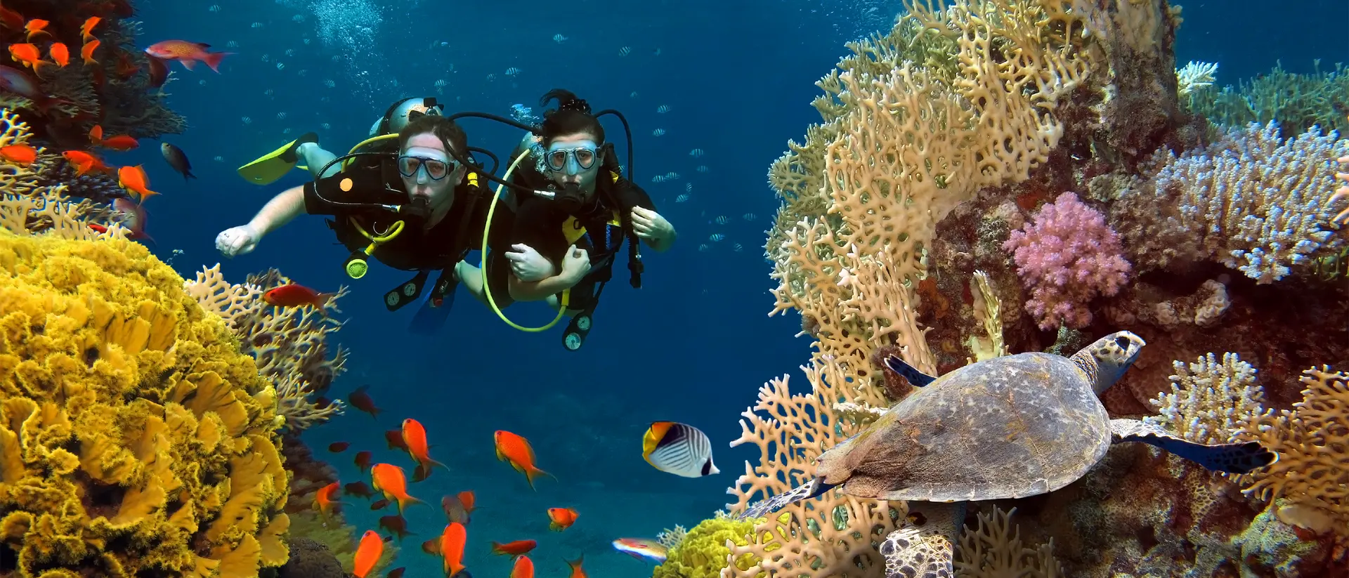 Two scuba divers explore a vibrant coral reef with colorful fish and a turtle swimming nearby.