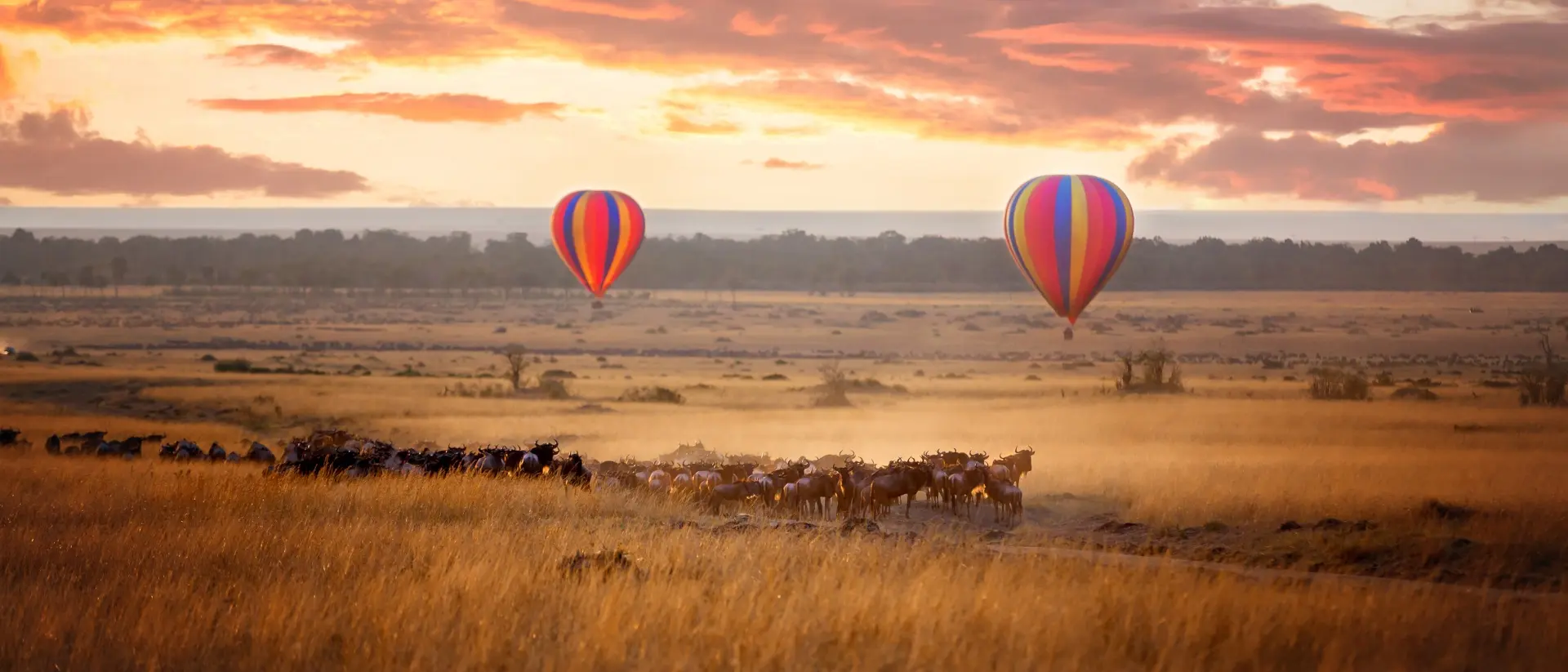 Sunrise over the Masai Mara, with a pair of low-flying hot air balloons and a herd of wildebeest below in the typical red oat grass of the region