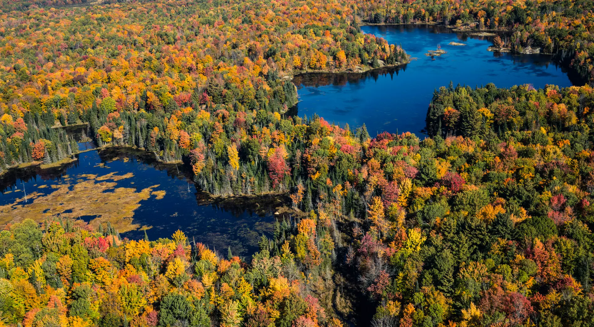 Aerial view of Algonquin provincial park
