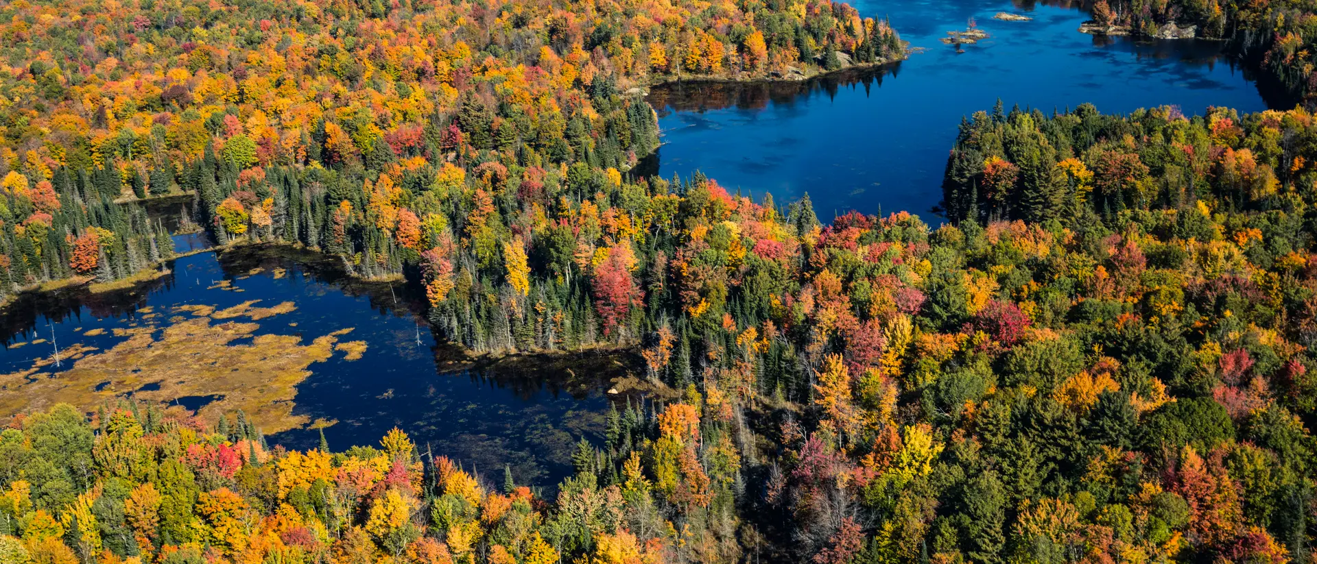 Aerial view of Algonquin provincial park