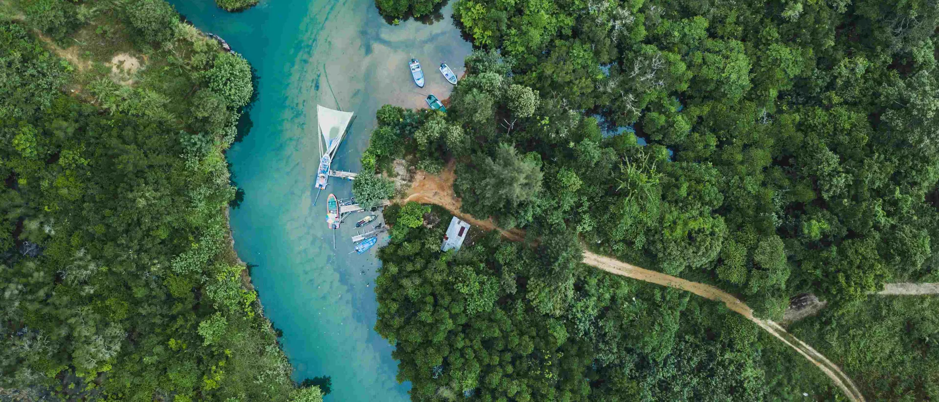 Aerial view of river in green tropical forest, beautiful nature scenery of jungle wilderness