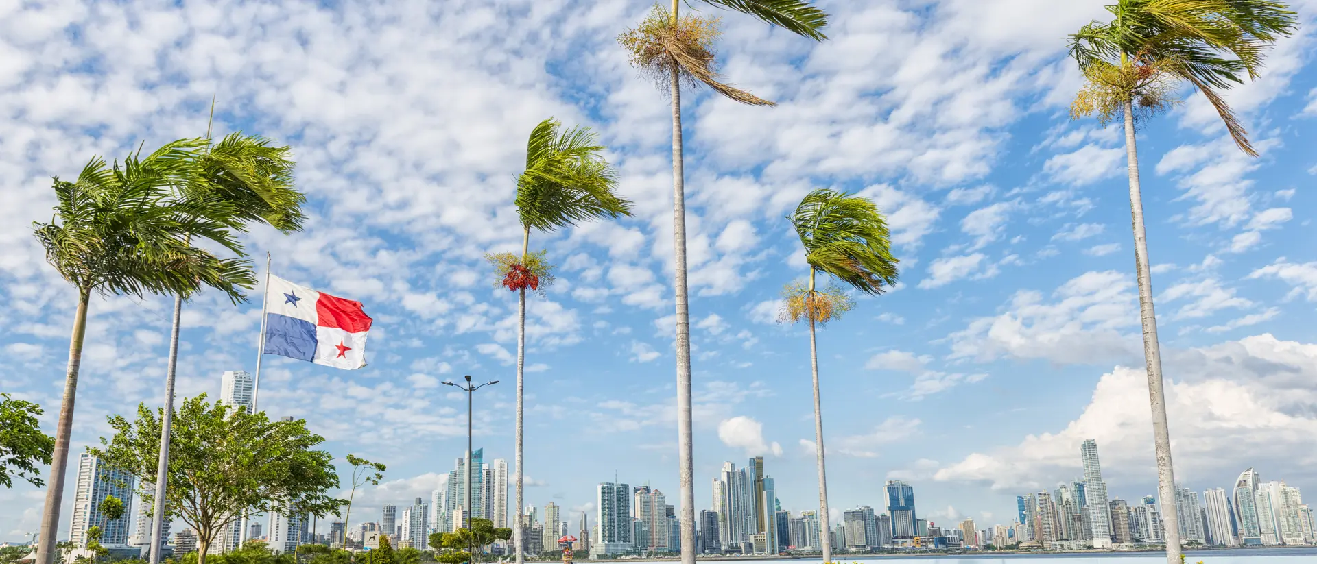 Panama city, in front palm trees and Panamian flag on plato, in background high buildings against blue sky