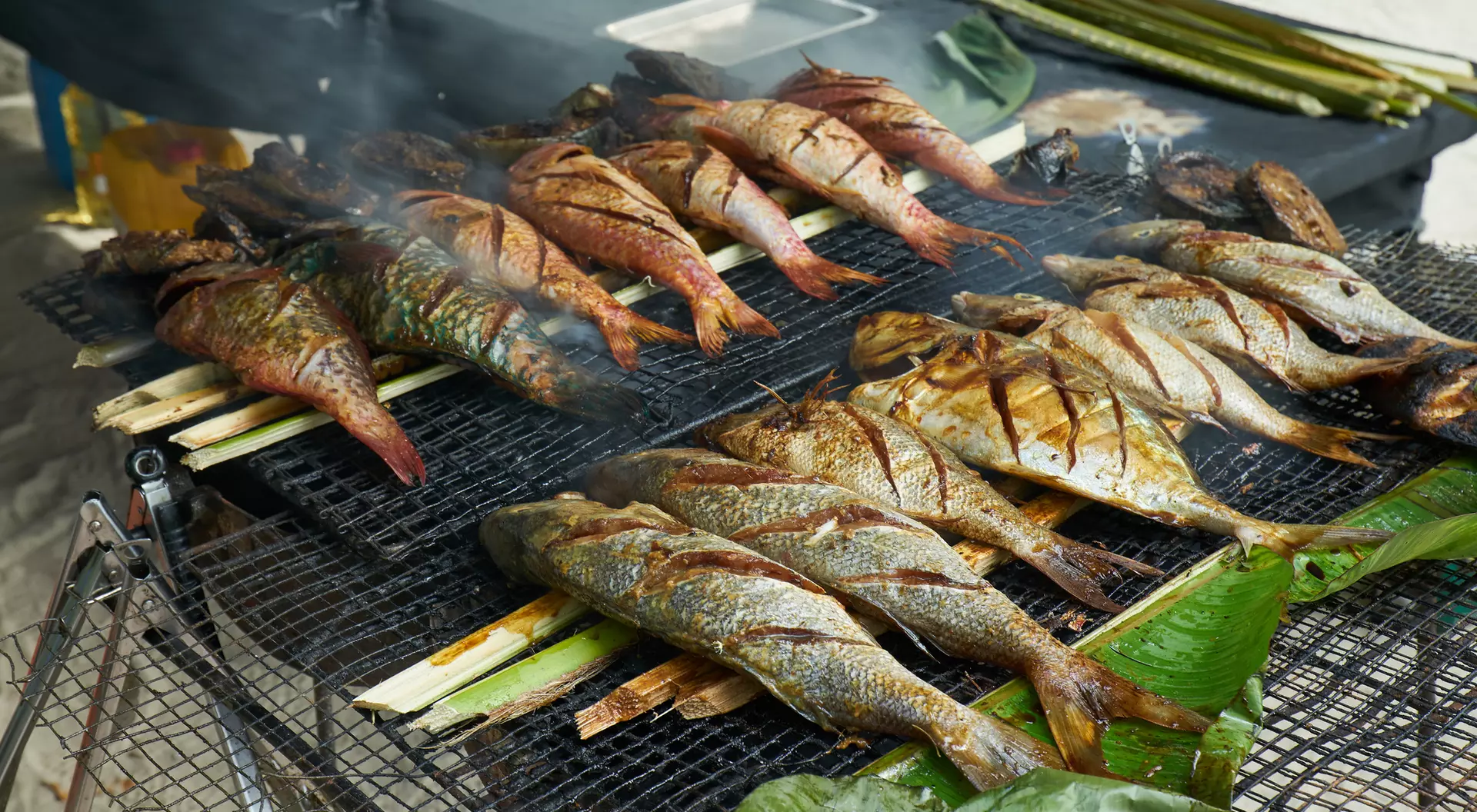 Grilled fish on a charcoal grill, with smoke rising, surrounded by green leaves and a beach setting in the background.