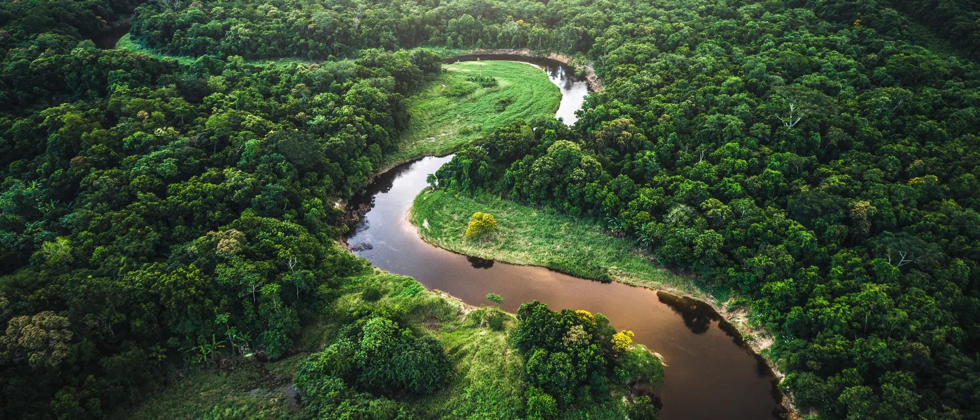 The Amazon Aerial view over the treetops of the famous amazon rainforest