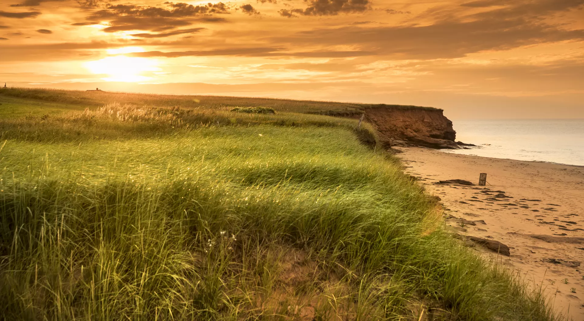 Peaceful shore of Dalvay Beach during the summer in Prince Edward Island Canada