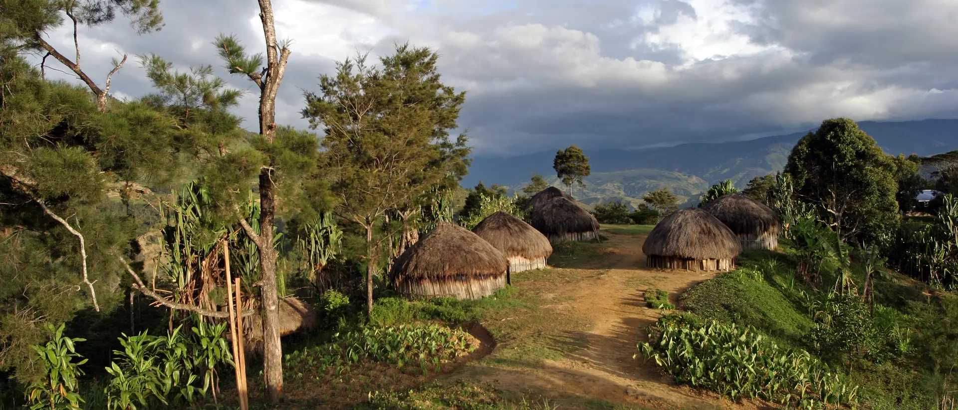 Papa New Guinea Traditional grass roof hut village in Papua New Guinea