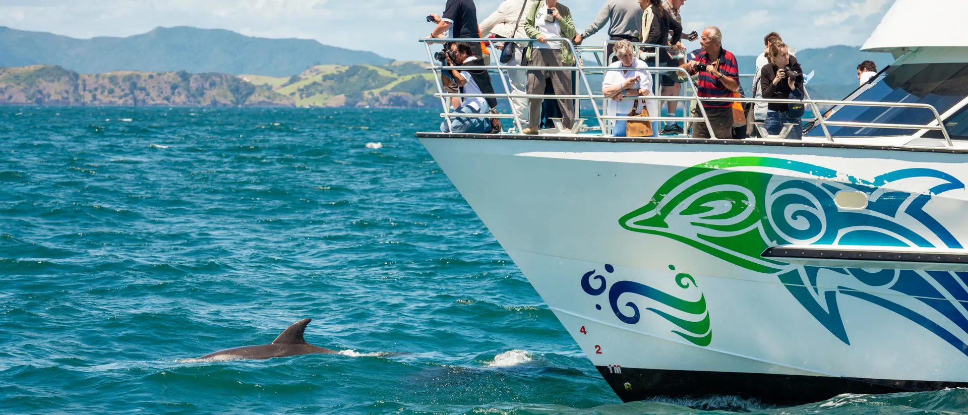 A tour boat with passengers observes a dolphin swimming in vibrant blue waters. Mountains are visible in the background.