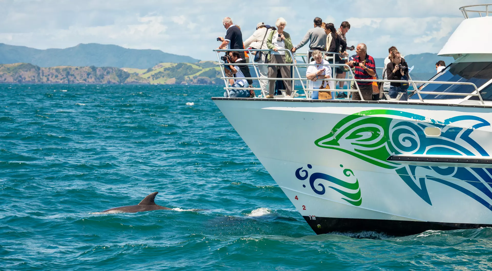 A tour boat with passengers observes a dolphin swimming in vibrant blue waters. Mountains are visible in the background.