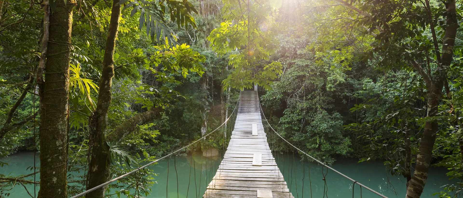 Rio Blanco National Park Tranquil footbridge crossing water at the 105-acre Río Blanco National Park, just west of Santa Elena village.