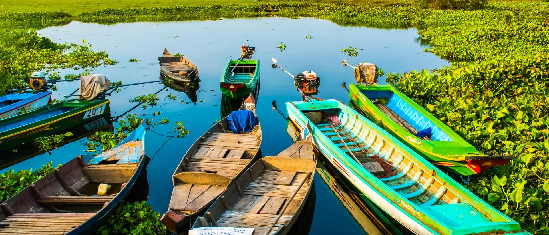 Colorful boats on lake speckled with greenery, Lotus Farm, Phnom Krom in Cambodia