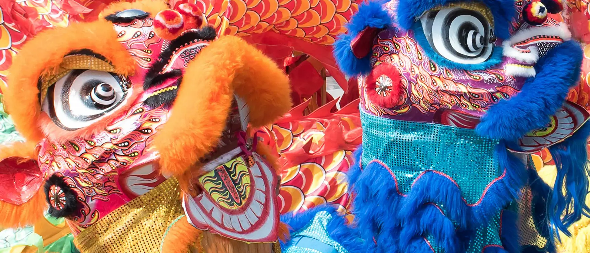 Two colorful dragon dance costumes with large expressive eyes and vibrant fur, set against a background of red and gold decorations.