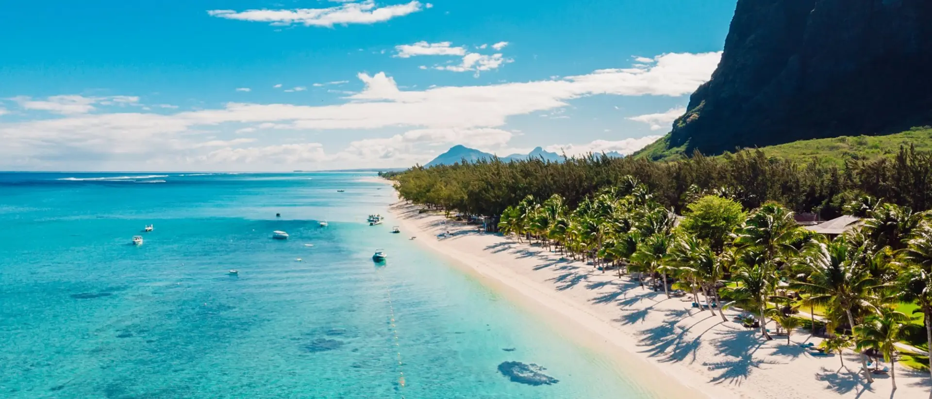 Luxury beach with mountain in Mauritius. Sandy beach with palms and blue ocean