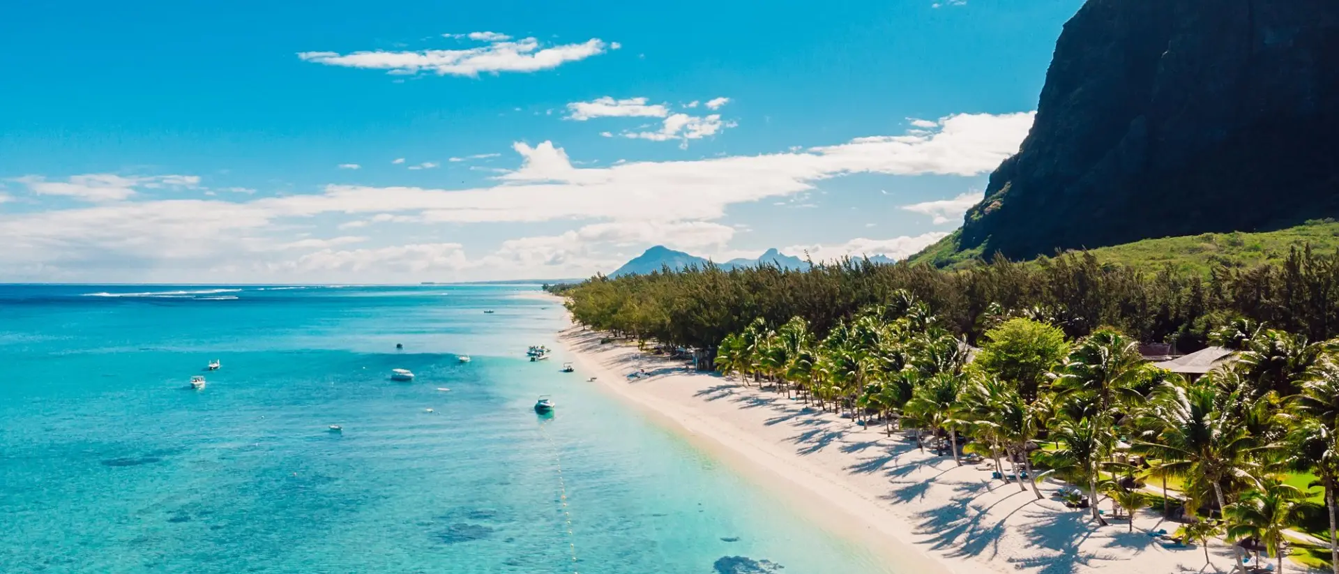 Luxury beach with mountain in Mauritius. Sandy beach with palms and blue ocean